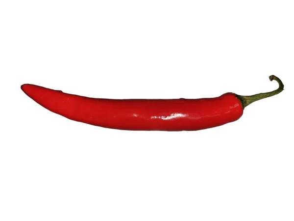 Chili Pepper Isolated White Background Ripe Chili Pepper Clipping Path — Stock Photo, Image