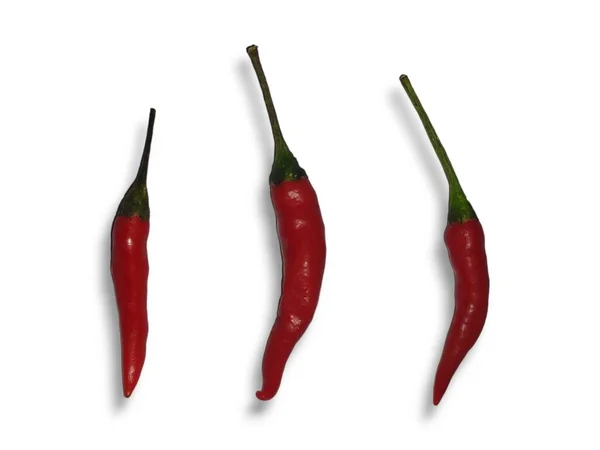 Chili Peper Geïsoleerd Witte Achtergrond Rijp Chili Peper Knipsel Pad — Stockfoto