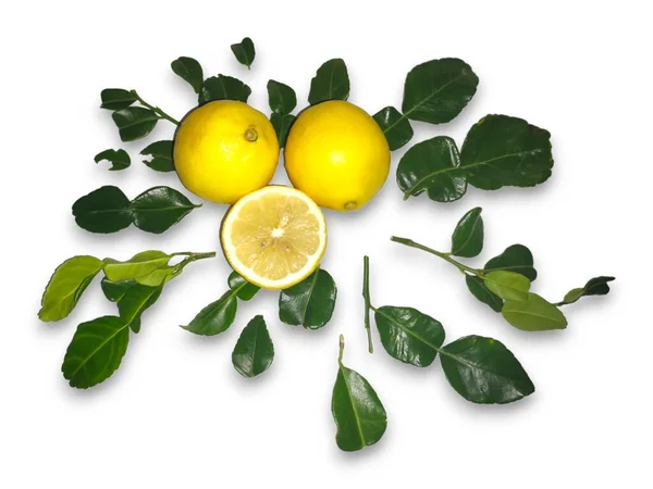 Limones Amarillos Entre Hojas Verdes Aisladas Sobre Fondo Blanco —  Fotos de Stock