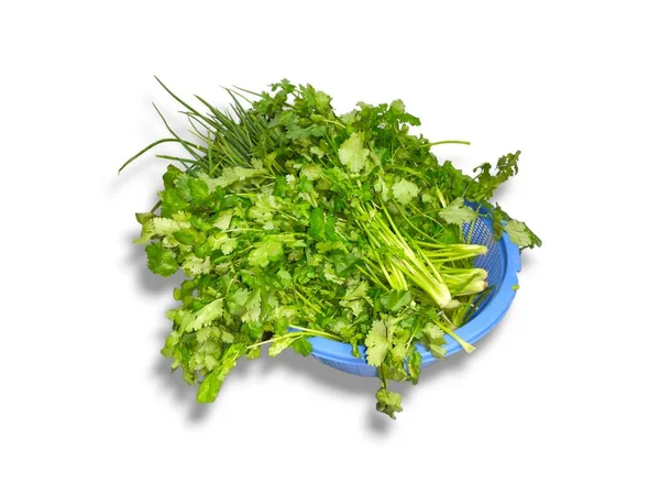 yeşil yaprak maydanoz 