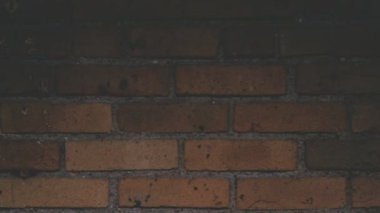 LOOP POPULAR broşür tasarımcısı. Mavi neon animasyon. Neon işareti animasyon metni. 4K döngü el yapımı, tuğla arkaplan animasyonunda mavi neon yazı içeren el yazısı.