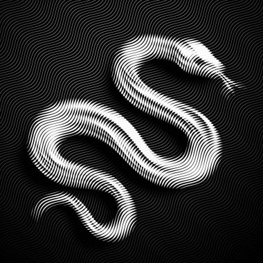 vector illustration of snake on black background.