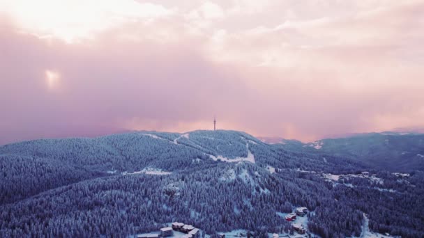 Winter Resort Mountain Top Communicatie Tower Forest Ski Seizoen Vakantie — Stockvideo