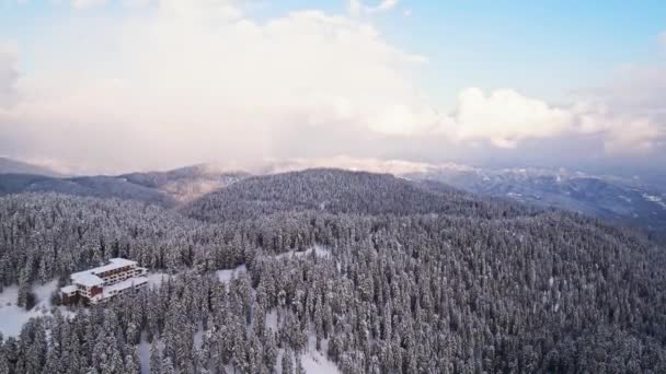 Inverno Resort Neve Floresta Férias Estação Esqui Hills Montanha Ascensão — Vídeo de Stock