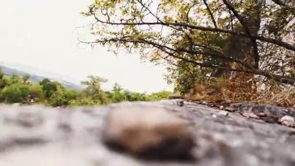 无人机秋天的坠机失误绿色橙色自然隐藏的被遗弃的欧洲纪念碑 — 图库视频影像