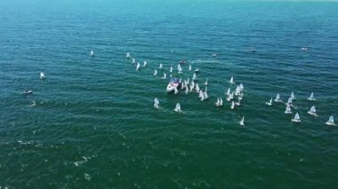 Yörünge Yelkenli Küçük Çocuklar Şampiyonası Yaz Sahil Tatil Günü Aile İnsansız Hava Aracı