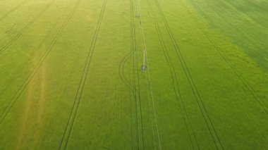 Yeşil Alan Üzerinde Gündoğumu Tarım Ekinleri Yavaş Rüzgarlar Elektrikli Teller Simetri Dronu