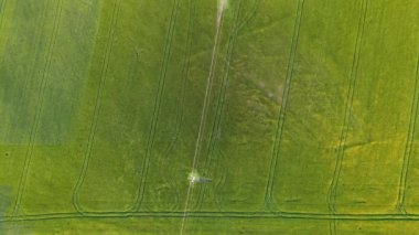 Tepedeki Ekin Sahasının Üstten Görünümü Yavaş Rüzgâr Renkli Durgun Yaşam Simetrisi Tarım Dronu