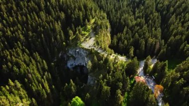 Doğal Mucize Ormanı Kaya oluşumu Nehir Uzaklaşması Gizli İnsansız Hava Aracı