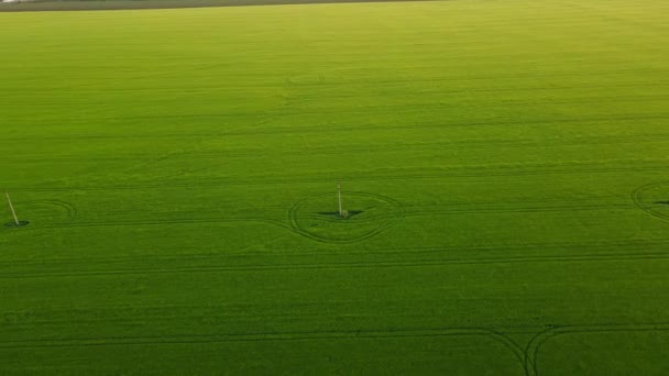 Green Hills Sunset Agriculture Rural Area Electricity Modern Orbit Drone — Vídeo de Stock