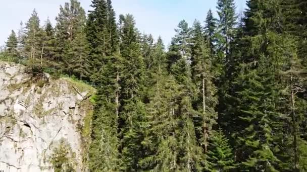 Salida Del Cuervo Oscuro Subir Revelar Impresionante Vista Alpina Clear — Vídeo de stock
