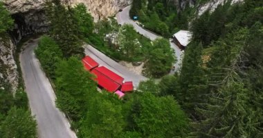 Motorcular Dar Dağ Yolu 'na tırmanıyor Havadan İzleme Yüksek Uçurumları vuruyor Evergreen Trees Drone
