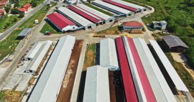 Sıcak Yaz Gününde Modern Hayvan Çiftliği Çılgınlıkları Havadan İnen Kuşlar Açılış Dronu