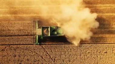 Bir Ekin Alanı Kontrastı Çalışan Büyük Makineler Canlı Renkler Devamlı Yukarıdan İniş Aracı