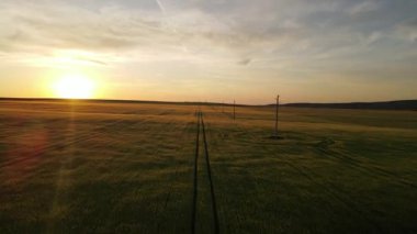 Günbatımı Simetri Kırpma Alanları Rüzgarlı Öğleden Sonra Ekolojisi Traktör Makineleri İzleme Dronu