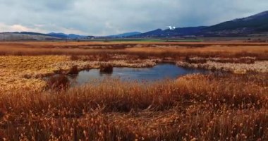 Doğal Bataklık Doğal Yaşam Alanında Büyük Bir Kuşun Canlı İzi Hava Fırtınası İHA 'yı Bulutlandırdı