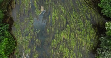 Doğal şekilli Oval Nehir Uzantısı Yavaş Algler Fotosentez Havadan Yukarıdan Aşağıya Sabit Atış Dronu