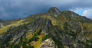 Rila Dağı 'ndaki keskin bir uçurumda büyüyen Evergreen Trees, Bulgaristan' ın Parallaks Çevre İnsansız Hava Aracı Zoom 'unu Büyüttü