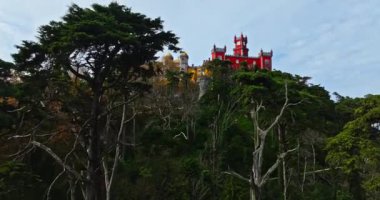 Mistik Orman Manzarası Sintra Portekiz 'deki Tarihi Pena Şatosu' nu gözler önüne seriyor.