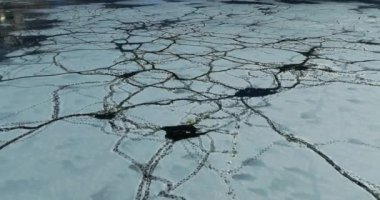 Kış Gölü 'ndeki küçük kuş sürüsünün yanında hayvan basamaklarıyla buz tabakası çatlamış.