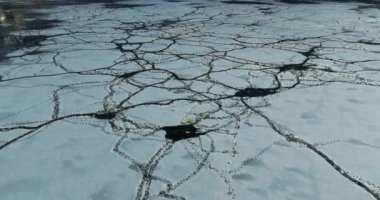 Kış Sahnesi Ördek Sürüsü Buzu Kaplayan Göl Işıklarını Yansıtan İnsansız Hava Aracı