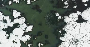 Canlı Tundra Manzarası Yüksek İrtifa Küçük Kuş Sürüsü İHA 'sının Sinematik Çekimi