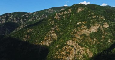 Yeşil Ağaçlarla kaplı enerjik Dağlar Rodop Dağı Sırtı Bulgaristan Hava Aracı
