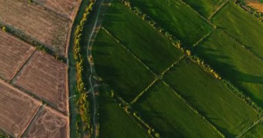 Canlı Günbatımı Tarlaları Aydınlatan Çiftlik Arazileri Bulgaristan 'ın Merkezinde Karışık Ürünler Stara Zagora Drone' u