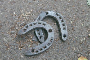 Yolda iki yeni at nalı var.