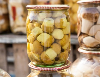 Kavanozların içinde Marine mantar