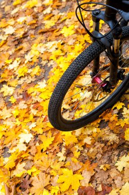 Sonbahar yeşilliklerinin arka planında bir turist bisikleti