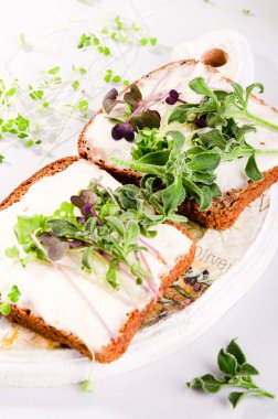 Mikro yeşil arka planda büyüyen mikro yeşiller. Mikro yeşillik çeşitleri. Vejetaryen çiğ sağlıklı gıda konsepti. Metin için yer