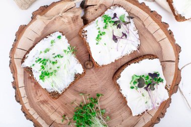 Mikro yeşil arka planda büyüyen mikro yeşiller. Mikro yeşillik çeşitleri. Vejetaryen çiğ sağlıklı gıda konsepti. Metin için yer