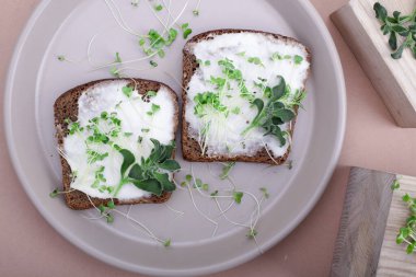 Mikro yeşil arka planda büyüyen mikro yeşiller. Mikro yeşillik çeşitleri. Vejetaryen çiğ sağlıklı gıda konsepti. Metin için yer