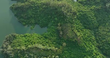 Nehirli güzel yeşil doğa