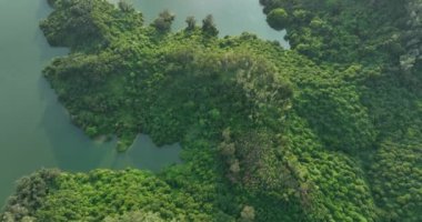 Güzel yeşil doğa ve şehirde gün batımında mimari binalar.