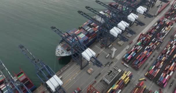 Luftaufnahme Des Containerterminals Yantian Der Stadt Shenzhen China — Stockvideo