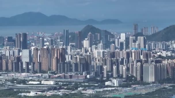 Picturesque View Modern Buildings Shenzhen City — Wideo stockowe