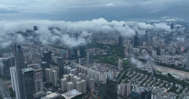 Picturesque View Modern Buildings Shenzhen City — Vídeo de Stock