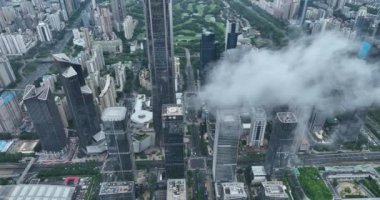 picturesque view of modern buildings in Shenzhen city