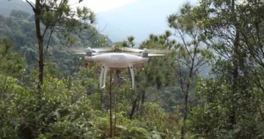 Drone ormanda uçuyor.