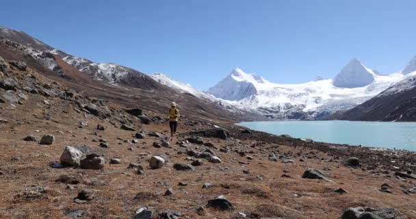 Perempuan Berjalan Antara Batu Dengan Indah Lanskap Pegunungan Dan Gletser — Stok Video