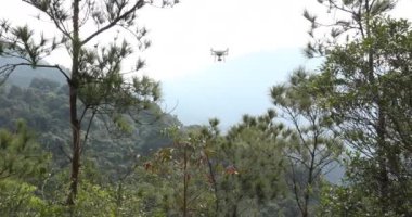 Drone ormanda uçuyor.