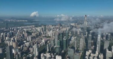 picturesque view of modern buildings in Shenzhen city