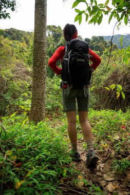 Sırt çantalı genç bir kadın ormanda yürüyüş yapıyor.