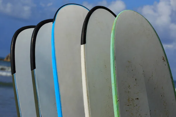 Deniz Kıyısındaki Sörf Kulübünde Kiralık Sörf Tahtaları — Stok fotoğraf