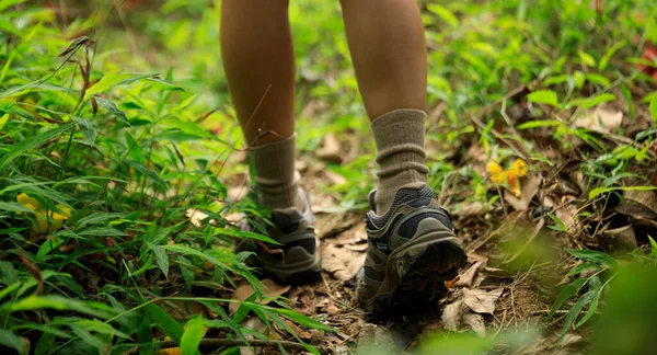 Woman Hiker Legs Walking Trail Spring Forest — Stock Photo, Image