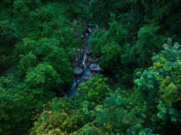 Aerial View Beautiful Tropical Forest Mountain Landscape — Stock fotografie