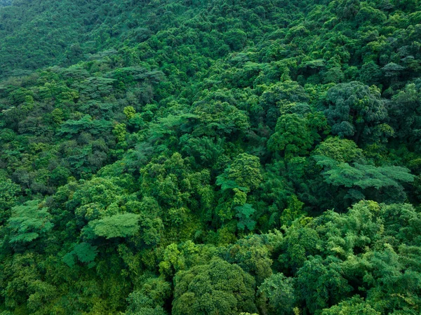 Aerial View Beautiful Tropical Forest Mountain Landscape —  Fotos de Stock