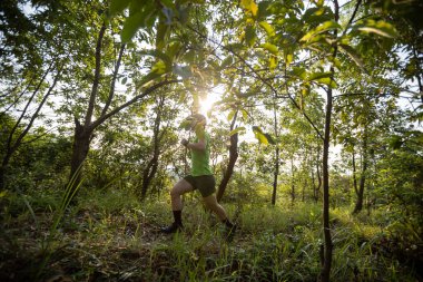 Trail runner running in summer forest trail